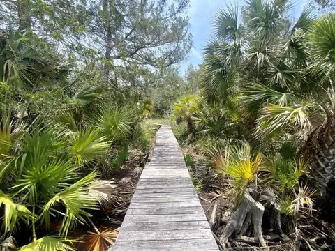 Other - 20000 Mossy Hammock Grade, Lamont, FL 32336 photo 1 of 4