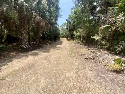 Exterior - 20000 Mossy Hammock Grade, Lamont, FL 32336 photo 8 of 8