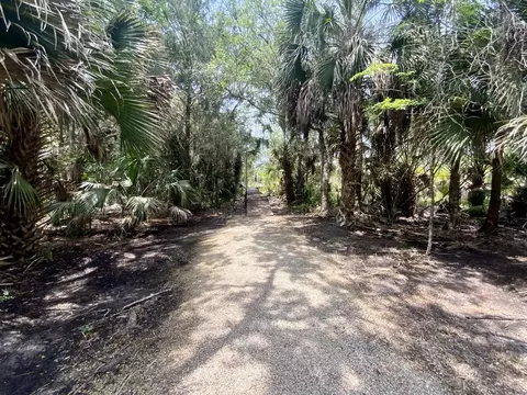 Other - 20000 Mossy Hammock Grade, Lamont, FL 32336 photo 3 of 4