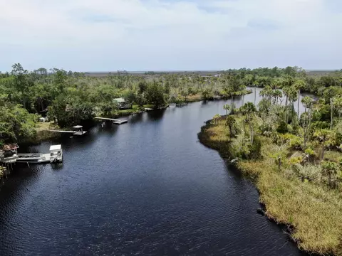 View/Area - 20000 Mossy Hammock Grade, Lamont, FL 32336 photo 7 of 13