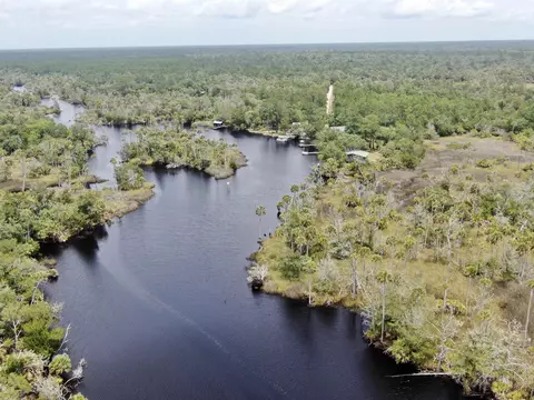 View/Area - 20000 Mossy Hammock Grade, Lamont, FL 32336 photo 12 of 13