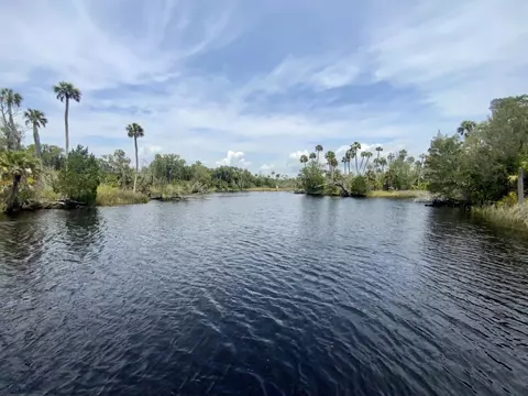 View/Area - 20000 Mossy Hammock Grade, Lamont, FL 32336 photo 10 of 13