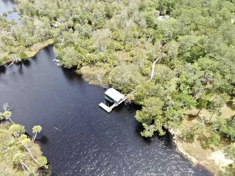 View/Area - 20000 Mossy Hammock Grade, Lamont, FL 32336 photo 9 of 13