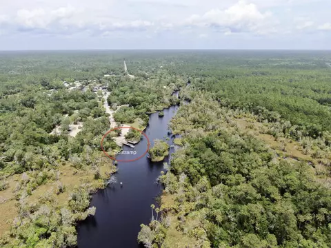 View/Area - 20000 Mossy Hammock Grade, Lamont, FL 32336 photo 4 of 13