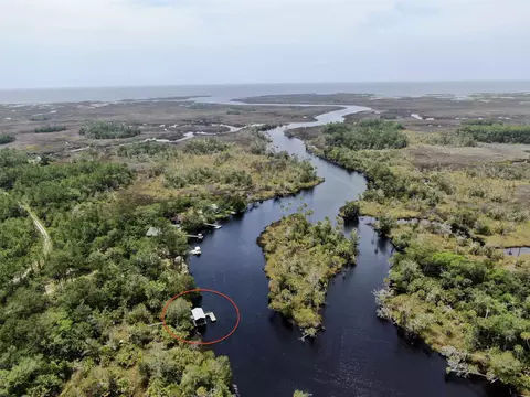 View/Area - 20000 Mossy Hammock Grade, Lamont, FL 32336 photo 3 of 13