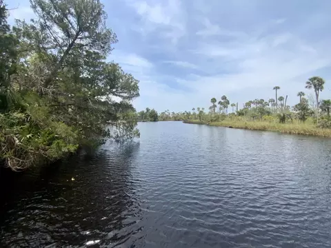 View/Area - 20000 Mossy Hammock Grade, Lamont, FL 32336 photo 5 of 13