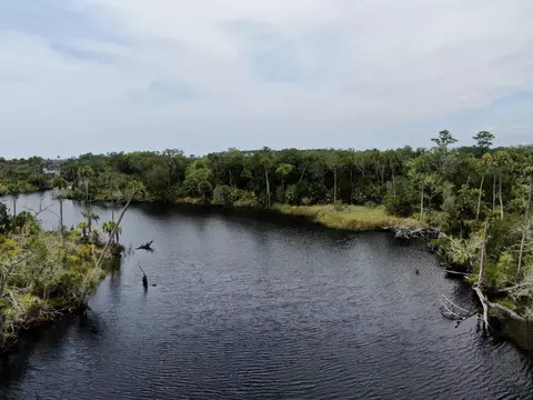 View/Area - 20000 Mossy Hammock Grade, Lamont, FL 32336 photo 8 of 13