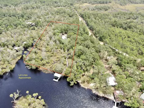 View/Area - 20000 Mossy Hammock Grade, Lamont, FL 32336 photo 6 of 13