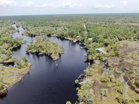 View/Area - 20000 Mossy Hammock Grade, Lamont, FL 32336 photo 13 of 13