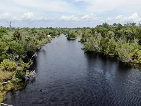 View/Area - 20000 Mossy Hammock Grade, Lamont, FL 32336 photo 11 of 13