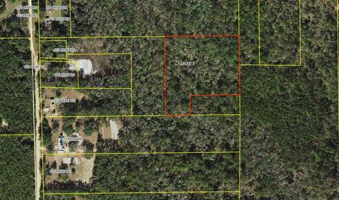 0 Mine Rd, Midway, FL 32343 photo 2
