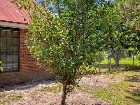 130 E Dowling St, Perry, FL 32347 photo 37