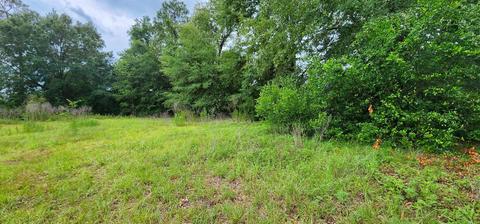 2364 NE Juniper Dr, Lee, FL 32059 photo 17