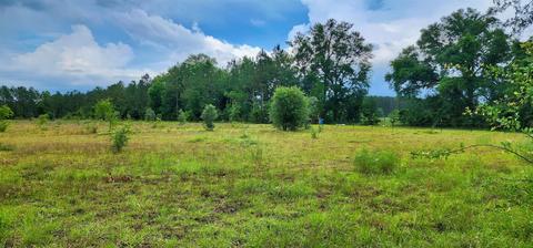 2364 NE Juniper Dr, Lee, FL 32059 photo 3