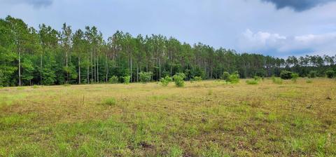 2364 NE Juniper Dr, Lee, FL 32059 photo 4