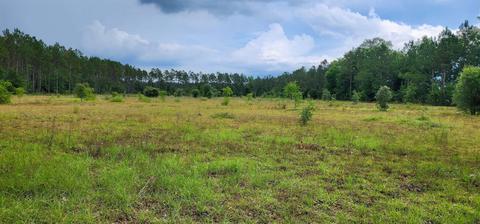 2364 NE Juniper Dr, Lee, FL 32059 photo 2