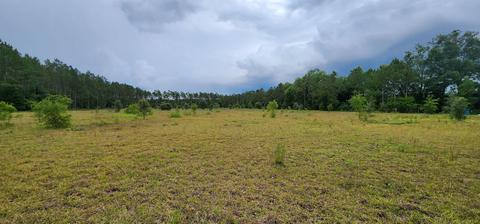 2364 NE Juniper Dr, Lee, FL 32059 photo 21