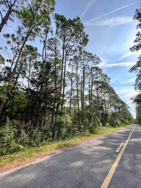 0 Adams Beach Rd, Perry, FL 32348 photo 17