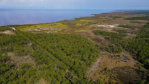 0 Adams Beach Rd, Perry, FL 32348 photo 9
