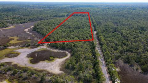 0 Adams Beach Rd, Perry, FL 32348 photo 13