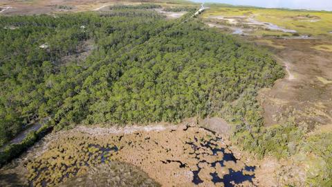 0 Adams Beach Rd, Perry, FL 32348 photo 12