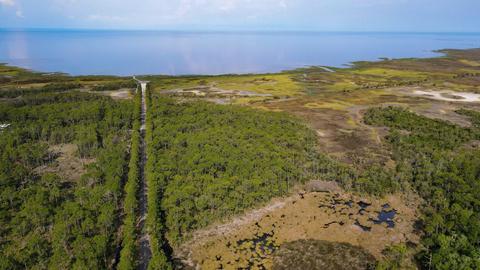 0 Adams Beach Rd, Perry, FL 32348 photo 10
