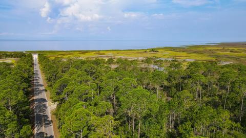 0 Adams Beach Rd, Perry, FL 32348 photo 4