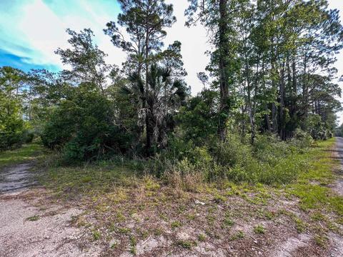 0 Adams Beach Rd, Perry, FL 32348 photo 16