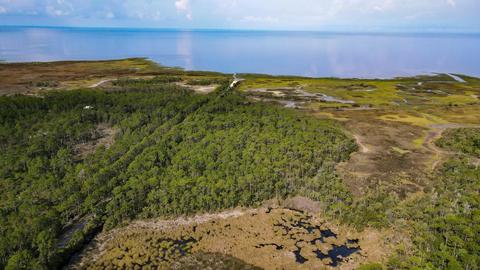 0 Adams Beach Rd, Perry, FL 32348 photo 11