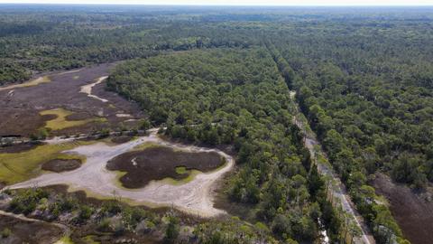 0 Adams Beach Rd, Perry, FL 32348 photo 6