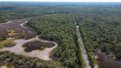 0 Adams Beach Rd, Perry, FL 32348 photo 7