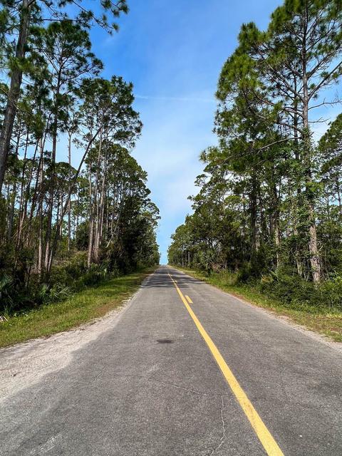 0 Adams Beach Rd, Perry, FL 32348 photo 14