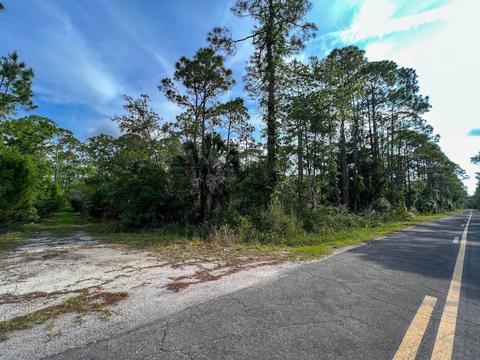 0 Adams Beach Rd, Perry, FL 32348 photo 15