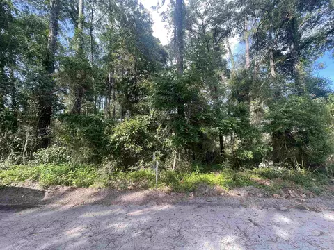 River Drive, Ochlockonee Bay, FL 32346