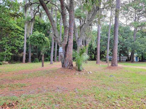 212 NW 2nd St, Steinhatchee, FL 32359 photo 13