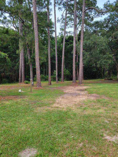 212 NW 2nd St, Steinhatchee, FL 32359 photo 10
