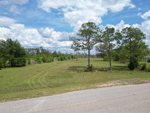 Tbd Turkey Creek Road, Bristol, FL 32321
