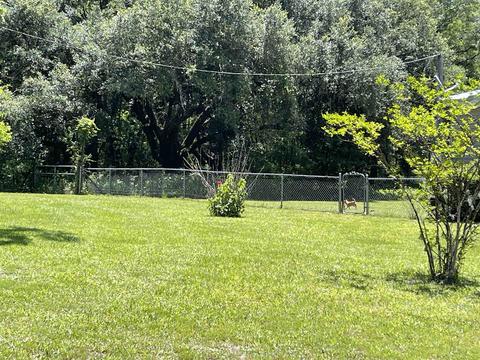 2292 Audrey Johnson Rd, Perry, FL 32347 photo 2