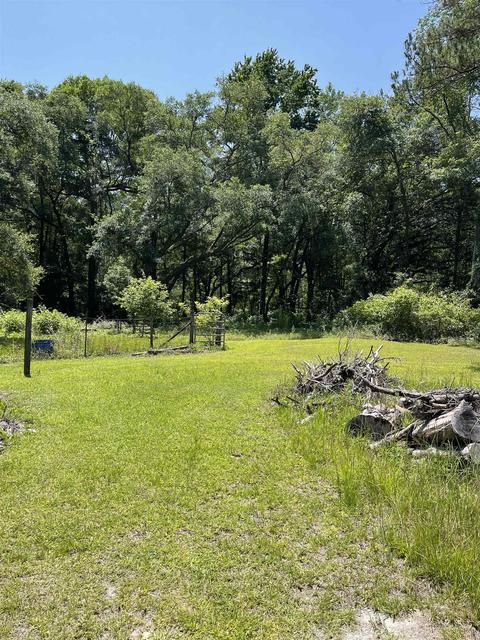 2292 Audrey Johnson Rd, Perry, FL 32347 photo 13