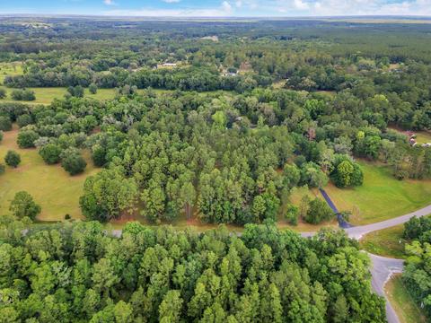 1707 Morgan Whiddon Rd, Perry, FL 32347 photo 3
