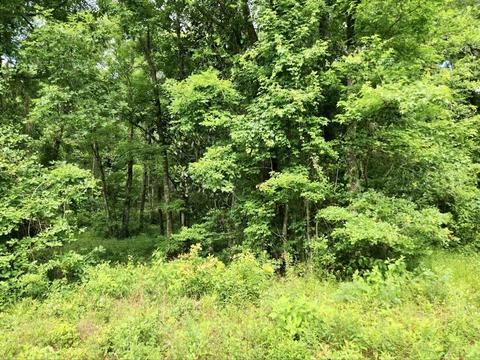 1650 Commonwealth Business Lot 2 Dr, Tallahassee, FL 32304
