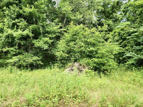 1650 Commonwealth Business Lot 3 Dr, Tallahassee, FL 32304