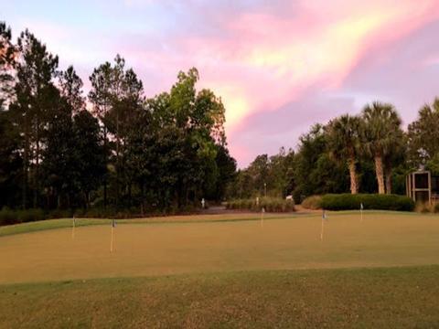 117 Plover Ct, Carrabelle, FL 32323 photo 7