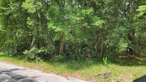 149 Temple Terrace Rd, Perry, FL 32348 photo 1