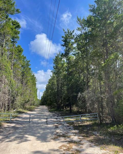 2510 Sandhill Rd, Keaton Beach, FL 32348