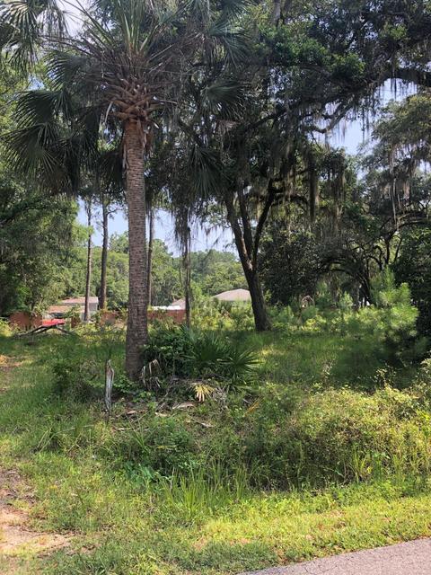100 Shell Island Rd, Saint Marks, FL 32355 photo 2