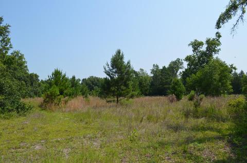 Tbd Sam Poppell Road, Perry, FL 32347
