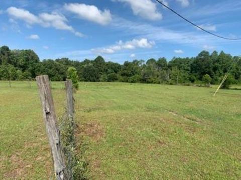 2839 Bernard Johnson Rd, Perry, FL 32347 photo 39