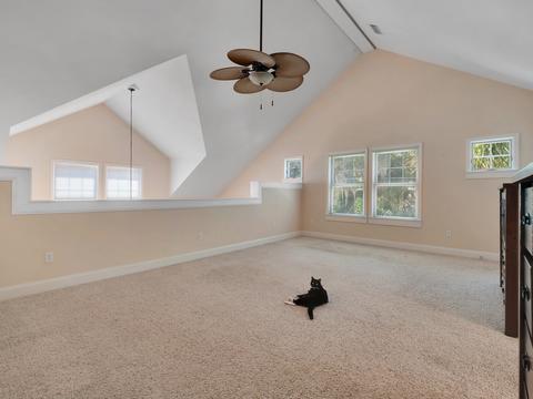 206 SE Tenth St #1, Steinhatchee, FL 32359 photo 33