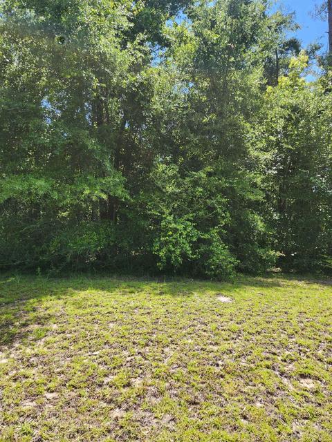 Nn Sawmill Court, Crawfordville, FL 32327